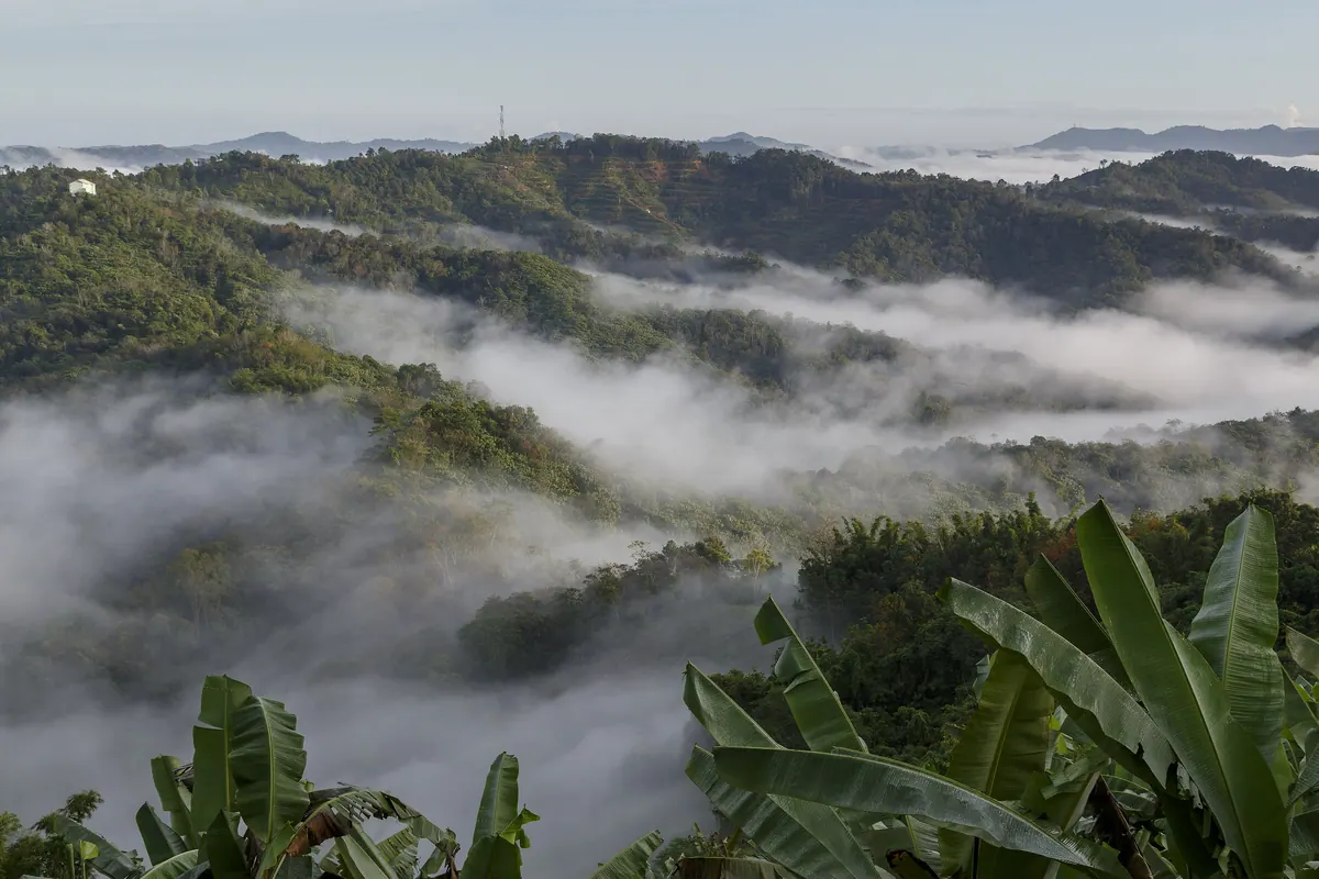 The forested hills of the Crocker Range in Sabah, the kind of country inland from Kota Kinabalu