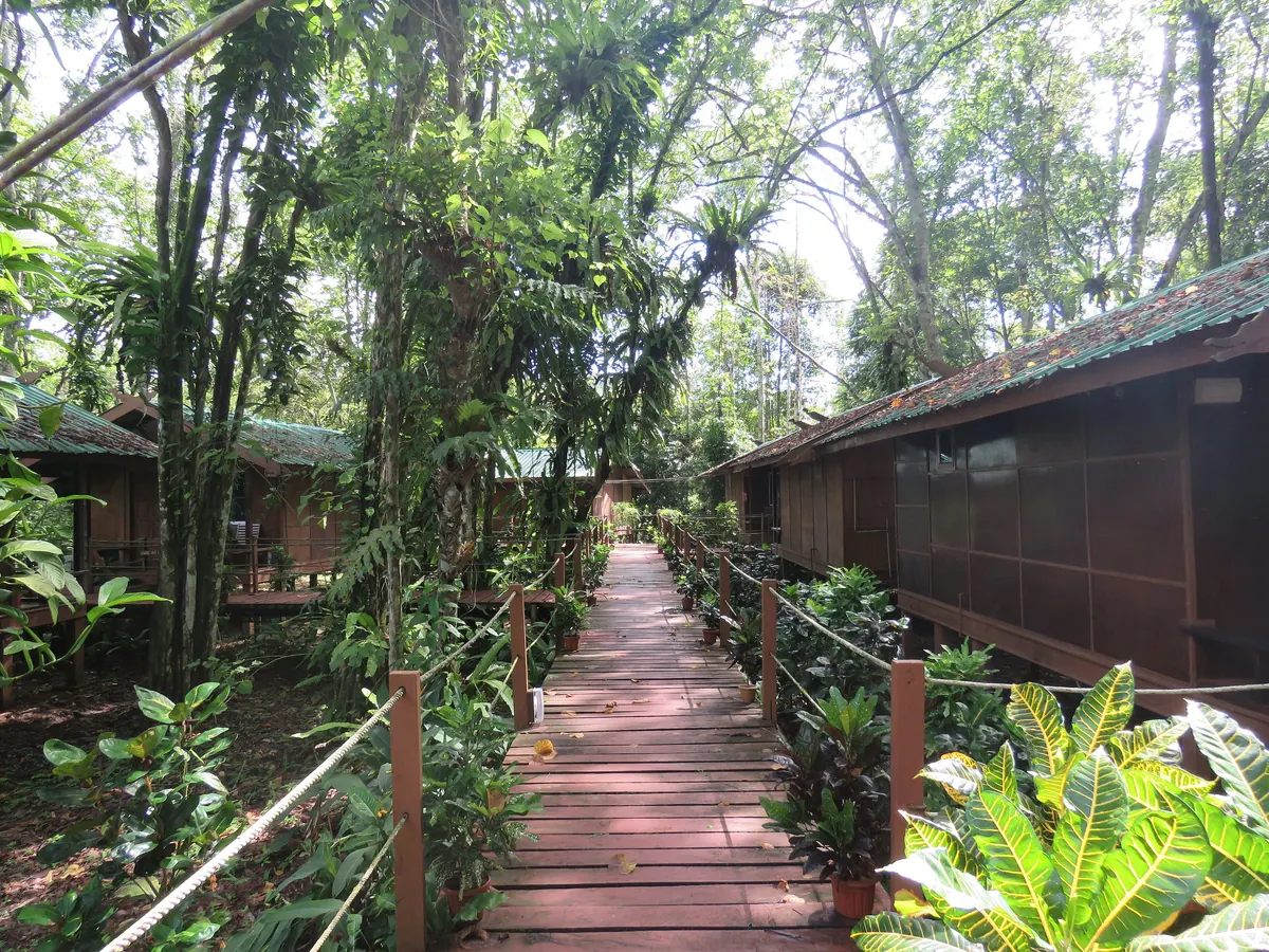 A jungle lodge on the Kinabatangan River in Sabah, reached by boat with an overnight bag