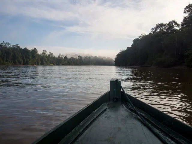 Borneo's Orangutans and Rainforest Adventure