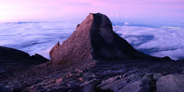 Best of Borneo