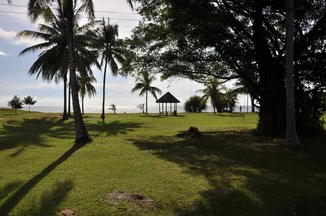 Jungles, Orangutans & Beaches